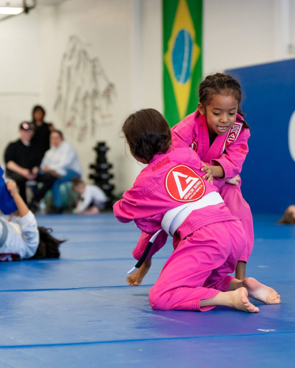 Jiu-jitsu class in action