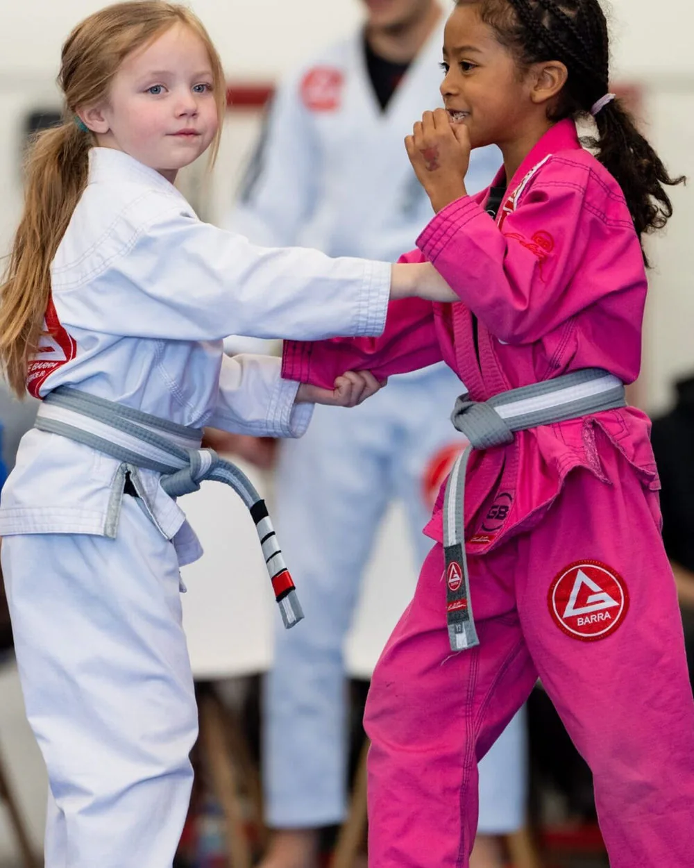 Adult jiu-jitsu training